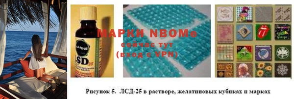 тгк Дмитровск