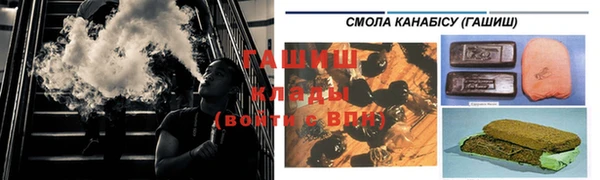 гидра Дмитров