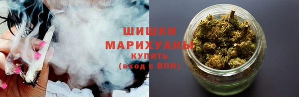 гидра Дмитров