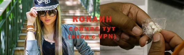 тгк Дмитровск