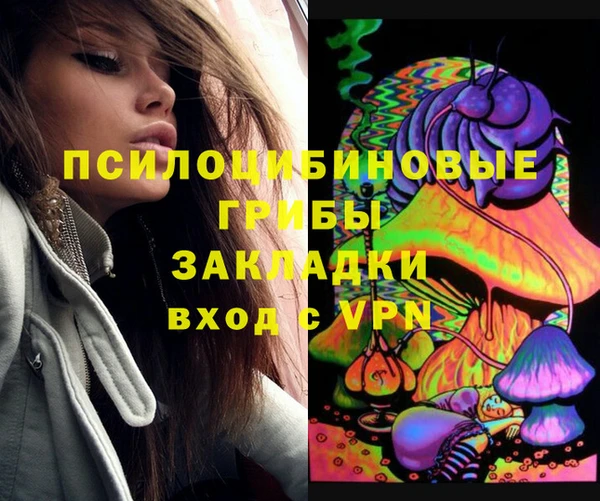 тгк Дмитровск