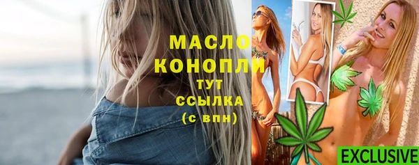 гидра Дмитров