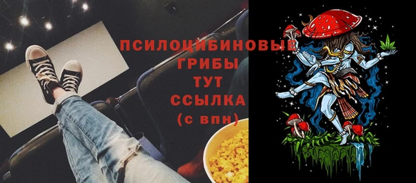 гидра Дмитров