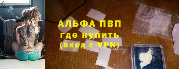 гидра Дмитров