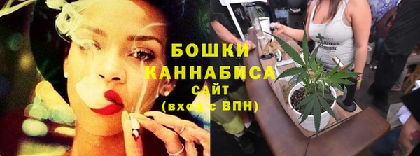 гидра Дмитров