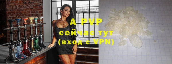гидра Дмитров