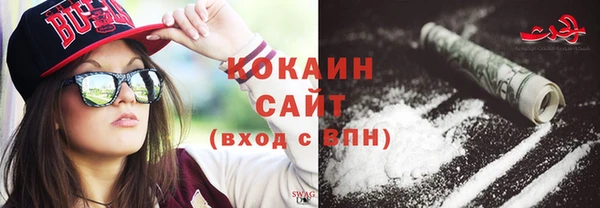 тгк Дмитровск