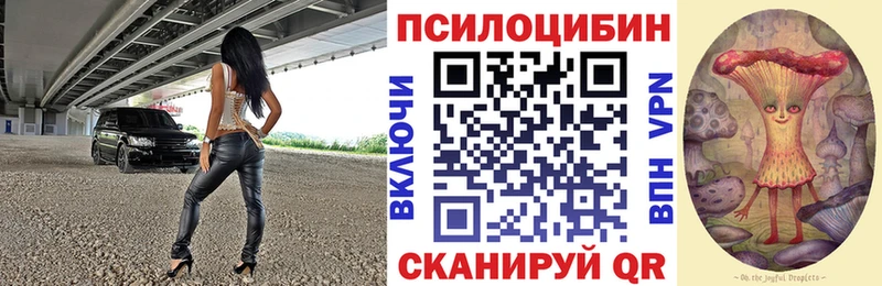 Купить закладки Истра Галлюциногенные грибы GOLDEN TEACHER