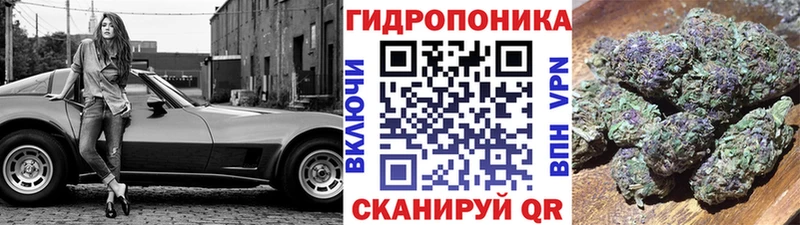 Купить где Истра Конопля OG Kush